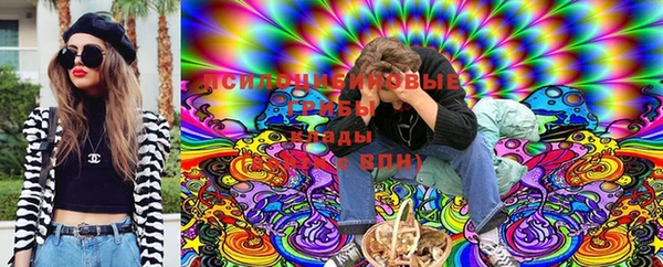 экстази Дмитриев